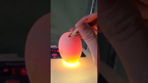 Candling Goose Eggs Day 14