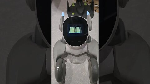 Loona Robot - Mini Shell Game 🤵 #shorts #robot #chatgpt #AI #ShellGame #Tech #robotics #Gaming