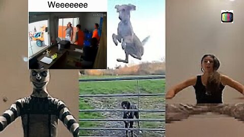 Weeeee Meme Compilation, Funny TikTok