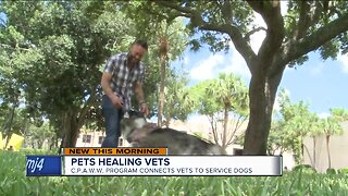 Pets healing vets: Program connects veterans to service dogs