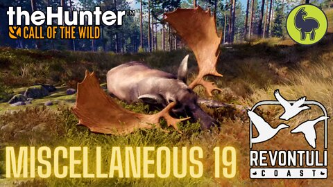 Miscellaneous 19 Revontuli Coast | theHunter: Call of the Wild (PS5 4K)