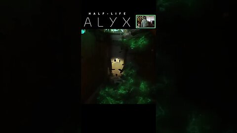 Meeting a Vortigaunt in Half-Life: Alyx VR!