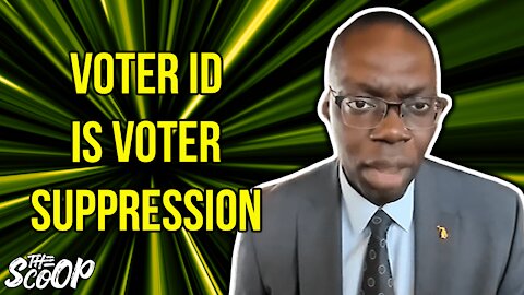 Michigan Lt. Gov. Claims Voter ID Laws Are Voter Suppression