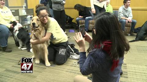 Community mourns loss of Sparrow therapy dog