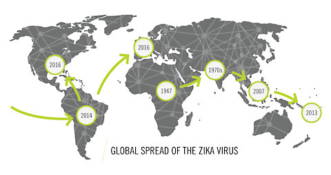 Zika; the origin story