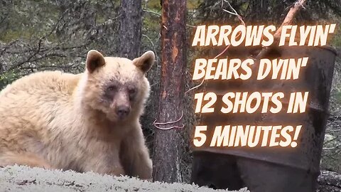 Arrows Flyin' Bears Dyin' | 12 Bear Hunting shots in 5 minutes