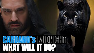 Cardanos Midnight Speculation - What Will It Do?