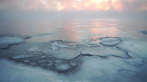 Arctic sea ice is shrinking and now even the Last Ice Area is at risk