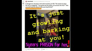 5 years minimum prison time for dog lovers!