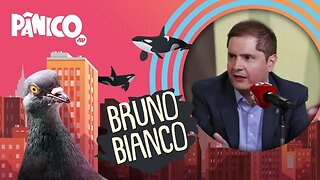 BRUNO BIANCO - PÂNICO - 29/04/21