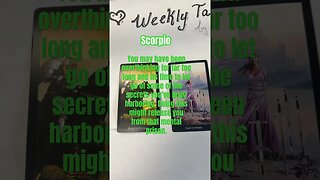 Scorpio Weekly Taro-scope#scorpio tarot#scorpio horoscope