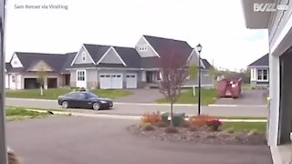 Condutor idoso choca contra poste de luz da vizinha
