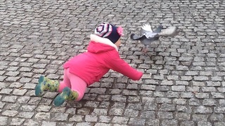 Toddler tries to catch pigeon, fails miserably
