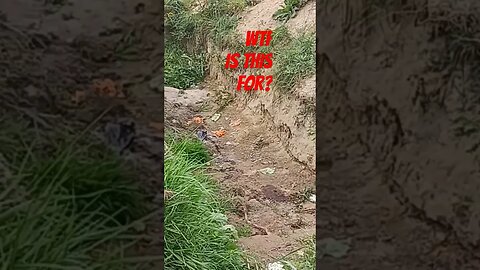 Mysterious Hole In The Ground #videoshort #youtubeshorts #wtf