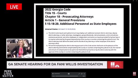 Georgia State Senate Hearing for DA Fani Willis investigation - HT Pepe Lives Matter