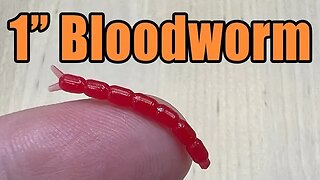 Bloodworm Micro Fishing Bait - Dropshot For Bass and Panfish Footage Too!