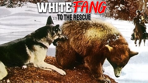 White Fang to the Rescue (1974 Full Movie/Family Western)