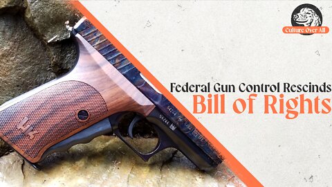 Fed's Proposed Gun Control Rescinds Bill of Rights