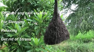 Thunder and rain sounds For Sleeping Relaxing Get rid of Stress