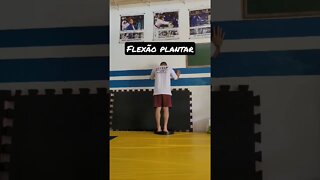 Flexão plantar