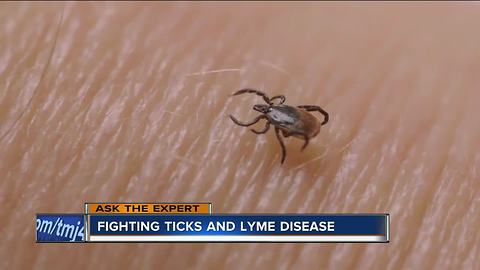 Ask the Expert: Fighting ticks and lyme disease