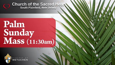 Palm Sunday Mass // 11:30am // March 24, 2024