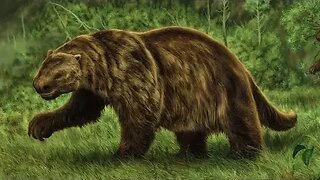 Giant Ground Sloth - Ancient Animal