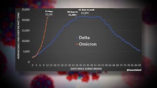 Epidemiologists warn omicron could overwhelm hospitals