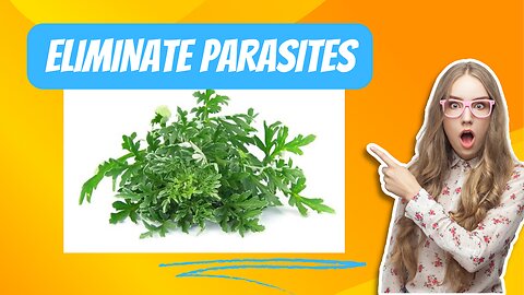 Does Wormwood Eradicate Parasites?