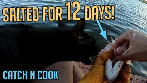 I put fish in SALT for 12 days and ate it! This is What Happened... catch and cook
