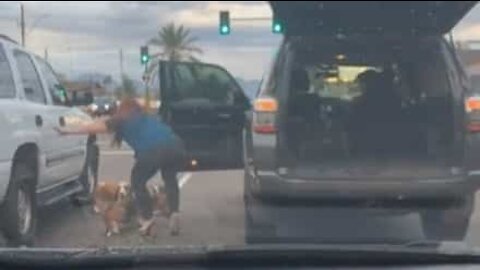 Mulher salva 3 cães abandonados na estrada