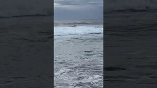 SOUTH KAUA’I SURF