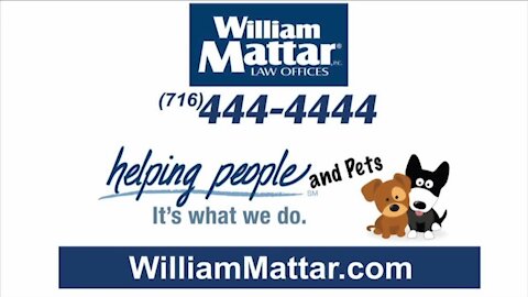 William Mattar Law Offices Rescue a Shelter Animal Campaign