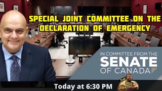 Special Joint Committee on the Declaration of Emergency
