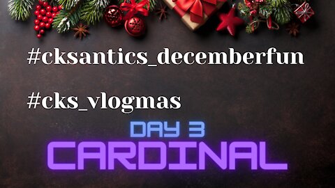 CK's Antics December Fun #VLOGMAS Day 3