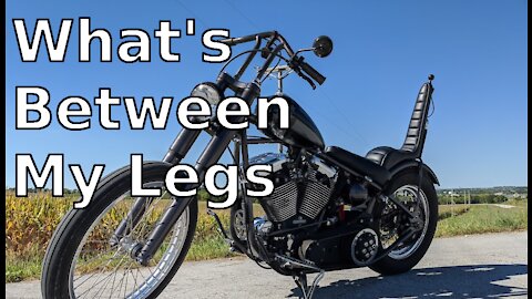 What's Between My Legs