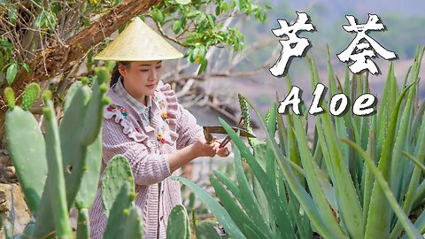 “Succulents” on Dining Tables in Rural Yunnan