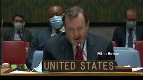 USA accused TPLF for killing Aid worker, looting Aid food and taking to Mekelle at UNSC meeting.