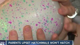 Parents upset Hatchimal won't hatch