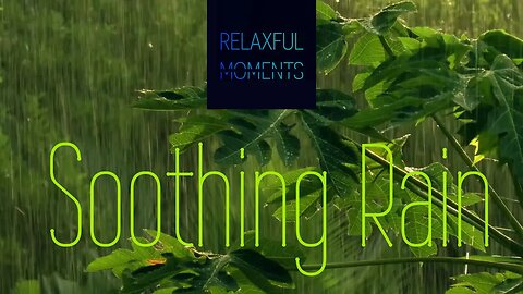 Soothing Rain | Pink Noise | Soothing Sound of Rain for Relaxation, Sleep and Focus