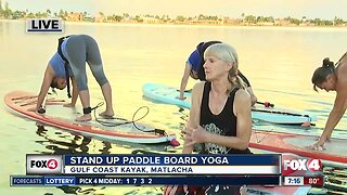 Stand up paddle board yoga in Matlacha Live Hit 07:00a