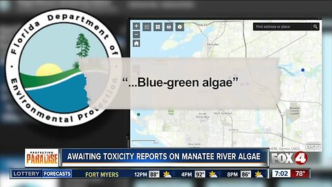 Florida DEP confirms blue-green algae in Bradenton as parts of Manatee River turn bright green
