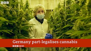 Germany partially decriminalises cannabis | BBC News