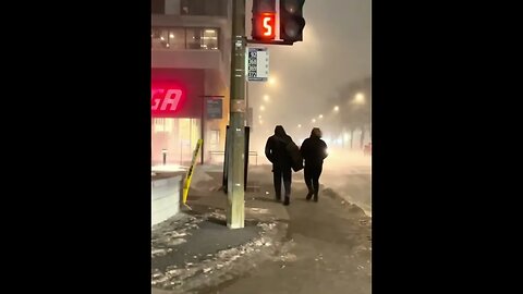 Montréal Windstorm Blazed