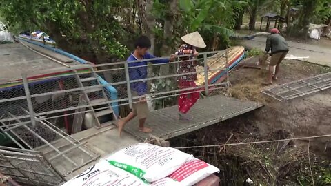 Duck song Một con Vịt Cận cảnh Vịt Đẻ chạy đồng xuống tàu Duck Put eggs on board Thanh Hoai KG 9