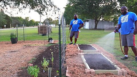 How To Build A Raised Bed With No Tools