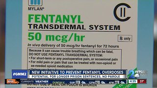 New initiative to combat fentanyl crisis