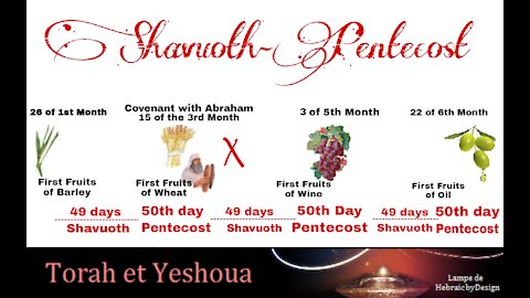 Shavouoth-Pentecôte du blé Dimanche 6 Juin 2021 ☆ Torah et Yeshoua ☆
