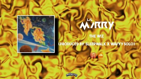 Mirry - “The Wiz” (prod. sleepwalk x wavyysolo) (Official Audio)