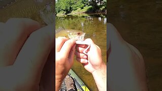 Kayaking Ohio Creek - Part 1